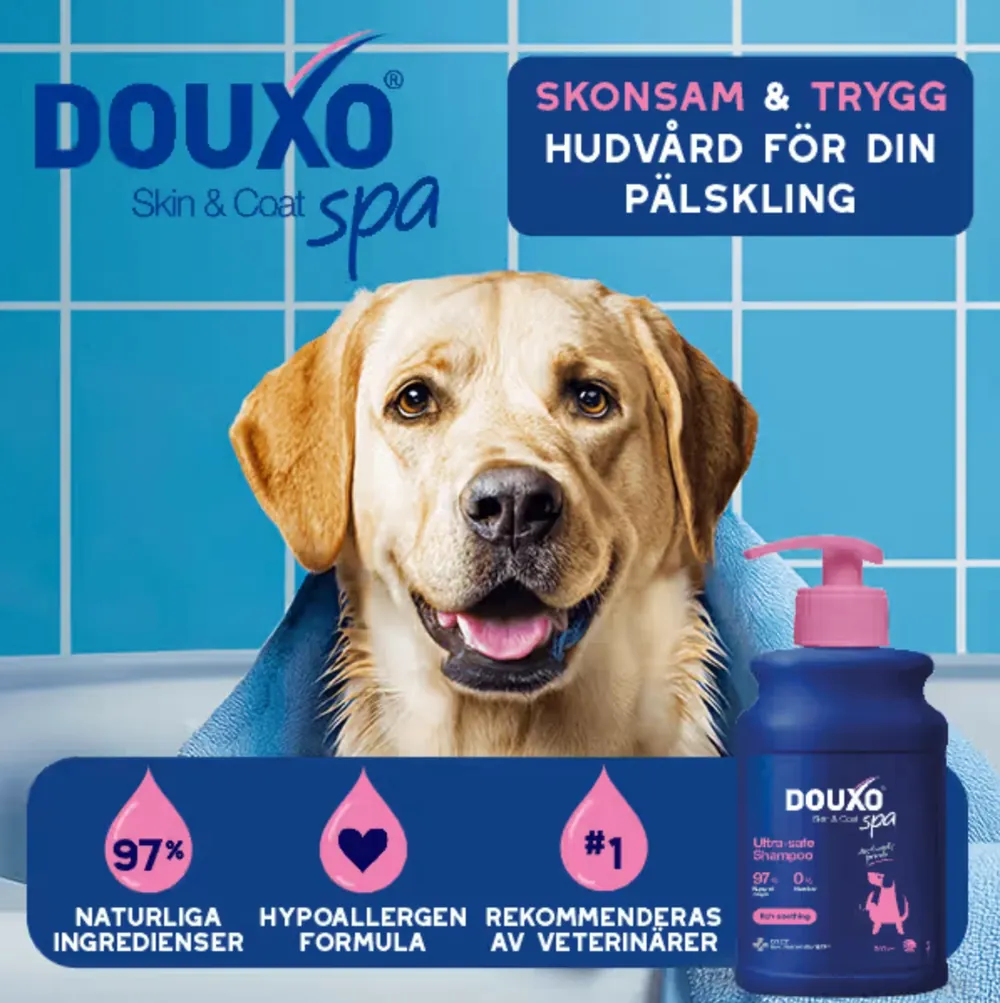 A dog wrapped in a towel next to Douxo Skin & Coat Spa shampoo